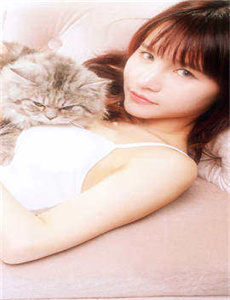 四畳半猥褻な情事